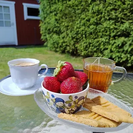 Ireneborg, With Finnish Sauna *