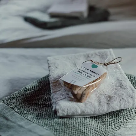 Ireneborg, With Finnish Sauna Apartment *