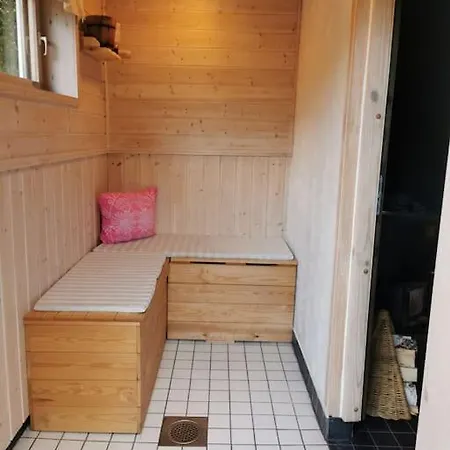 Ireneborg, With Finnish Sauna Apartman *